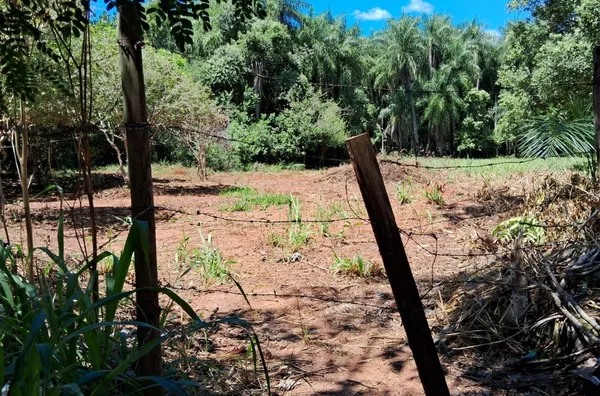 Terreno para venda,  Cinturão Verde, Primavera