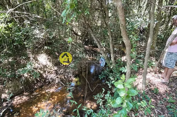 Lote para venda em Confomínio Fechado estilo Aras, Pedro Leopoldo