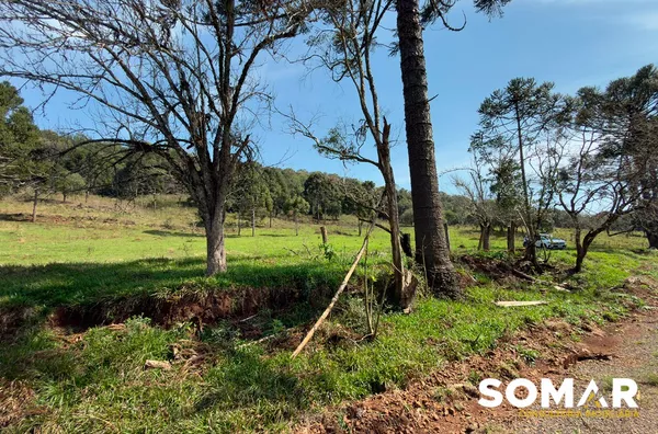 Área rural para venda de 193 mil m² em Erval Velho