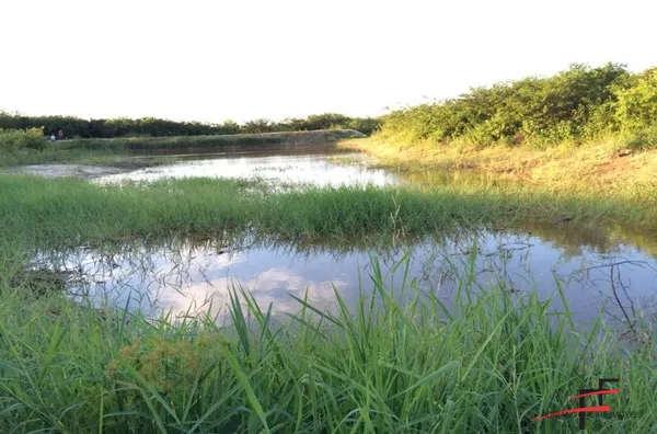 Fazenda para Venda em Maranguape 