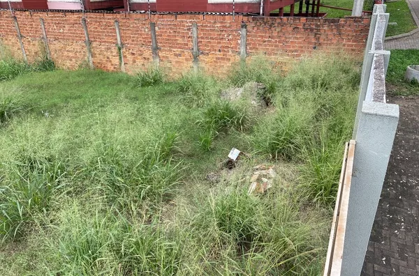 Terreno para venda no Centro de Pato Branco - PR