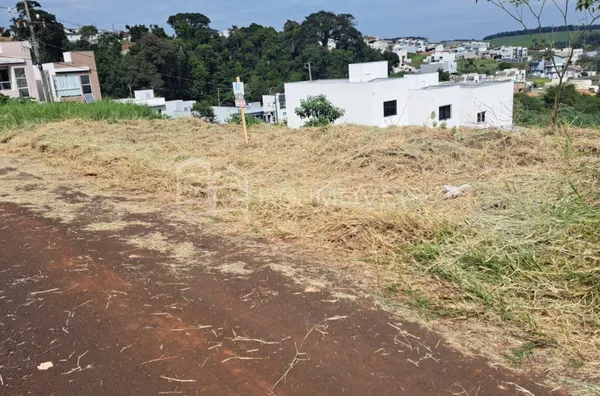 Terreno para venda,  Fraron, Pato Branco