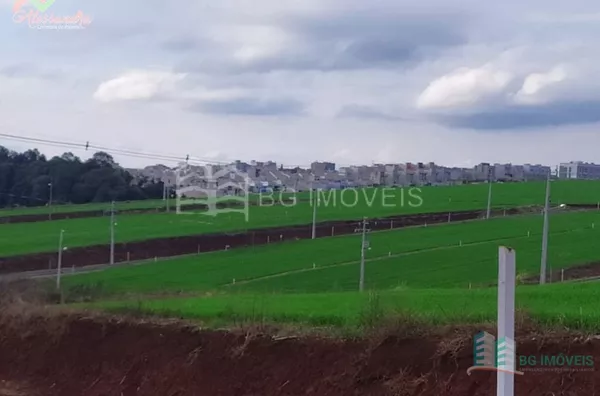 TERRENO PARA VENDA NO BAIRRO FRARON