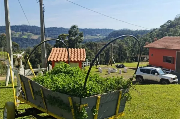 sítio - pousada  - 5 chalés com excelente infraestrutura