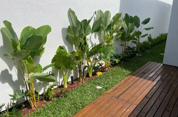 casa nova - possibilidade de financiamento 