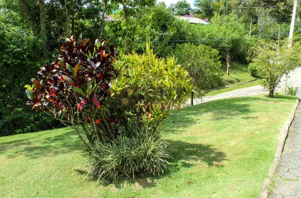 Linda casa de 4 quartos em condomínio fechado - Pagará - Santo Amaro