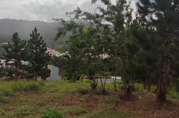 TERRENO COM 311,96 - JARDIM BOTÂNICO 