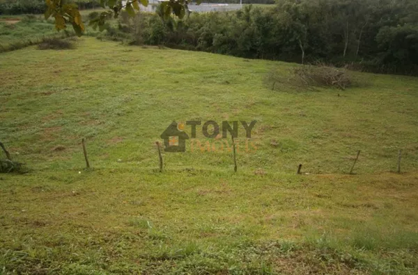 BELA CHACARÁ COM 19.500M² - Foto 6
