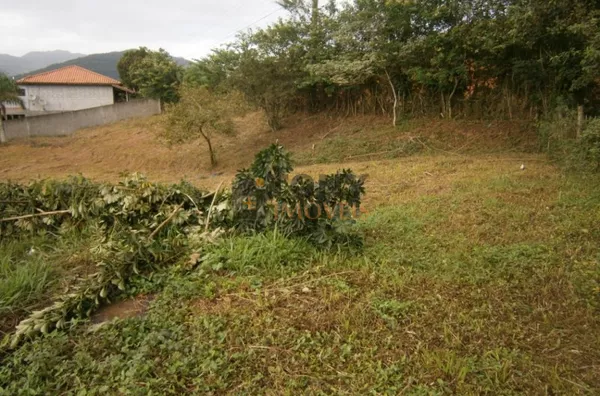 BELA CHACARÁ COM 19.500M² - Foto 7
