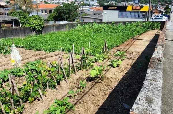Excelente terreno à venda no bairro Real Parque de 378m2.