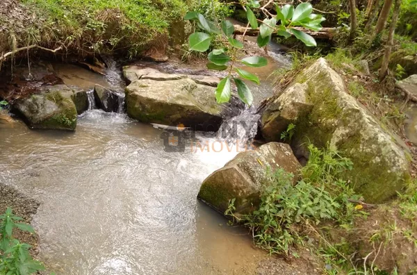 SÍTIO EM BOM RETIRO - MONTADO - ACEITA  AUTOMÓVEL COMO PARTE DE PAGAMENTO - Foto 11