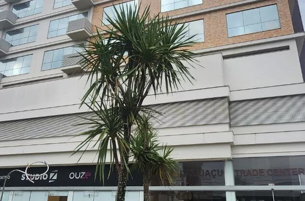 Sala comercial semi mobiliada com 28m2 em SÃO JOSÉ - SC