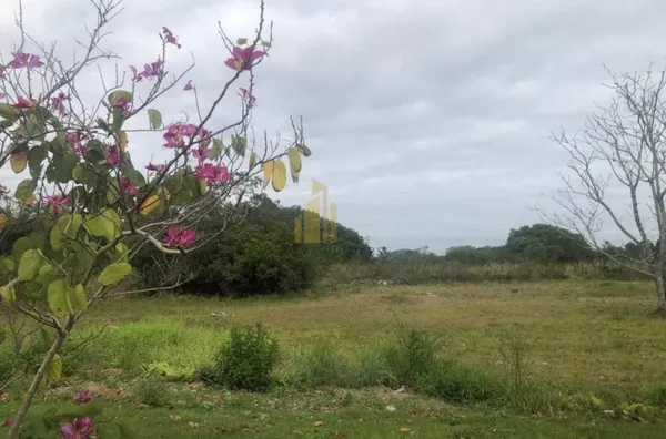 Excelente terreno, 750m² em Jurerê Internacional