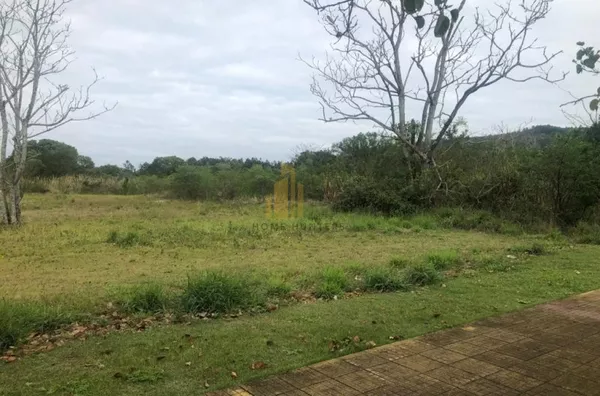 Lindo terreno em Jurerê Internacional, 750m², face norte. 
