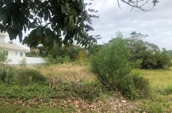 Lindo terreno em Jurerê Internacional, 750m², face norte. 