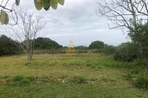 Lindo terreno em Jurerê Internacional, 750m², face norte. 