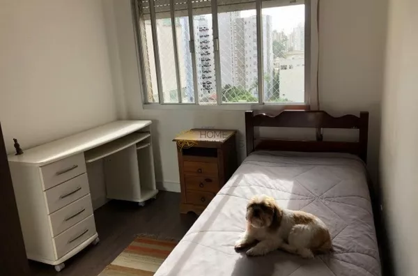 Apartamento para venda 2 quarto(s)  florianópolis