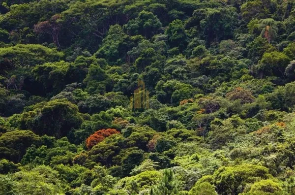 SALA COMERCIAL NA SC-401 SQUARE CORPORATE