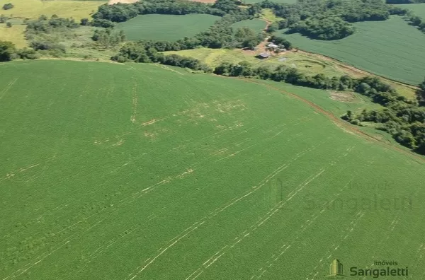 12 ALQUEIRES PLANTANDO 10 EM CHOPINZINHO