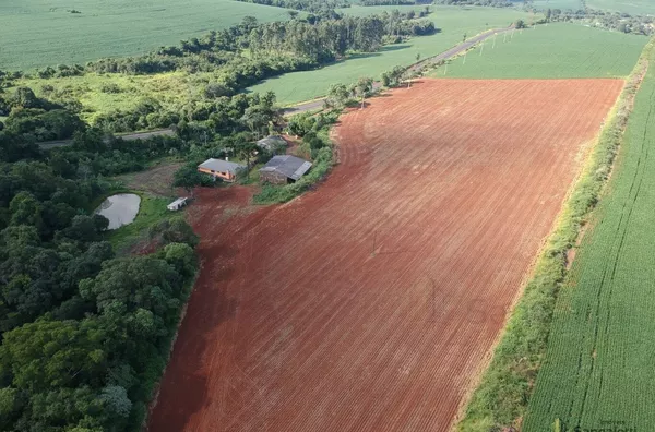 6 ALQUEIRES PLANTANDO 5