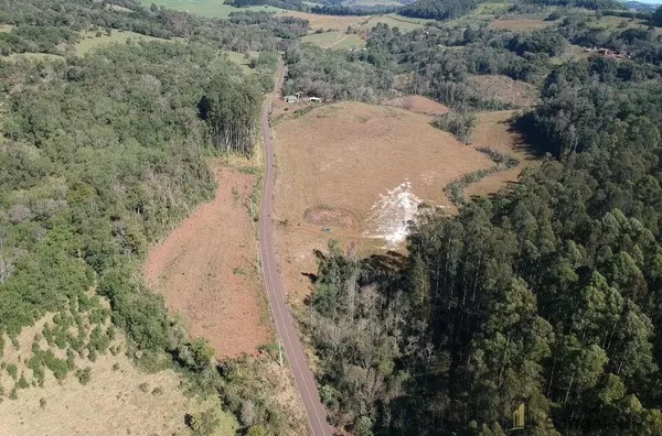 6,2 ALQUEIRES NA LINHA ALEGRIA