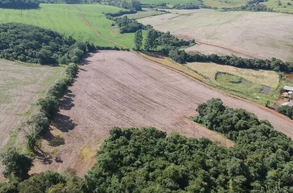 7,3 ALQUEIRES PLANTANDO 4