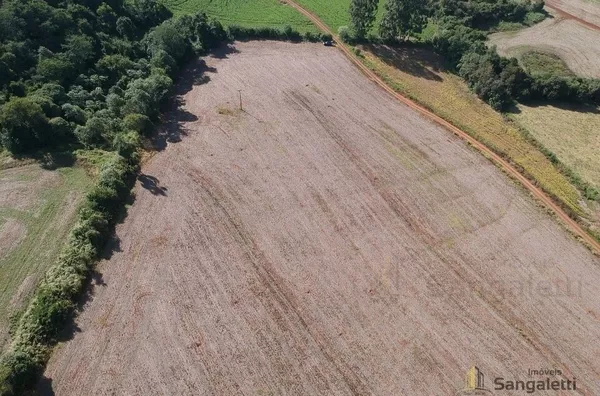 7,3 ALQUEIRES PLANTANDO 4