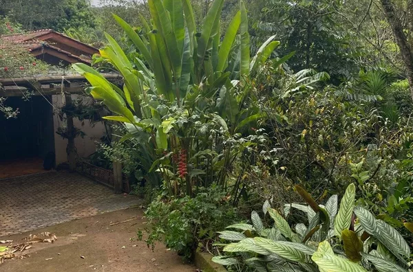 CHÁCARA NO ALAGADO EM SULINA