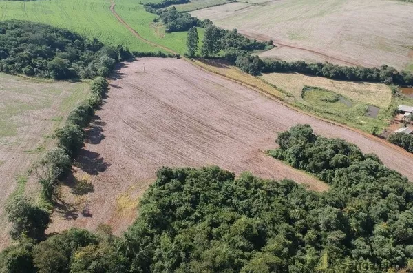 7,3 ALQUEIRES PLANTANDO 4