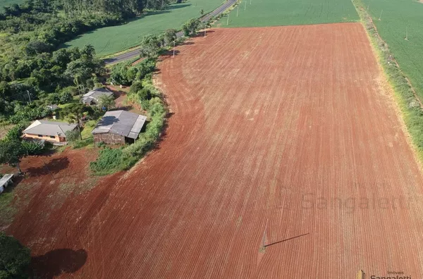 6 ALQUEIRES PLANTANDO 5