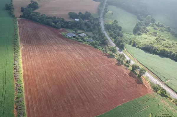 6 ALQUEIRES PLANTANDO 5