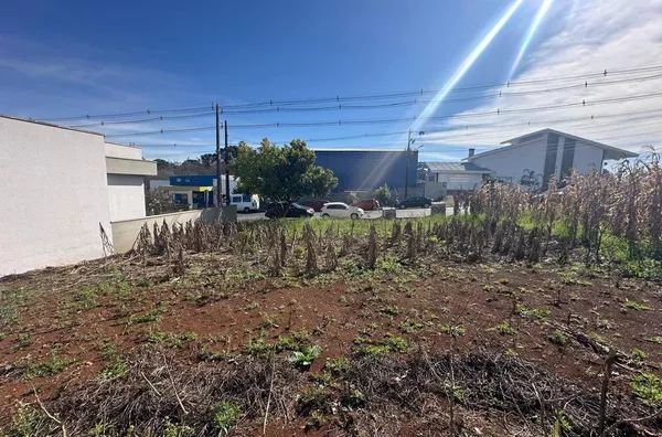 O TERRENO DOS SEUS SONHOS