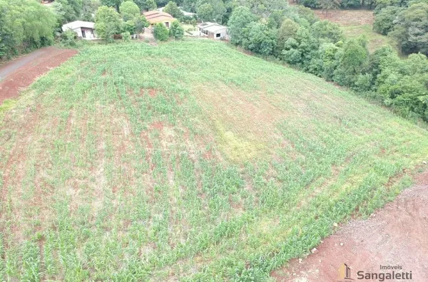 TERRENOS COMERCIAIS PARA VENDA