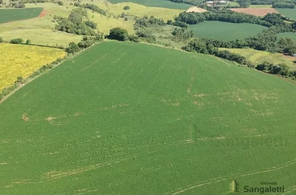 12 ALQUEIRES PLANTANDO 10 EM CHOPINZINHO