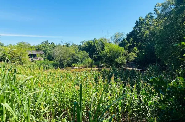 CHÁCARA NO SÃO SEBASTIÃO