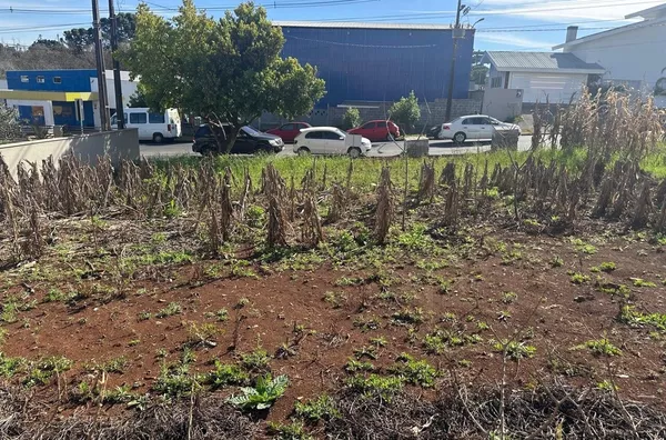O TERRENO DOS SEUS SONHOS