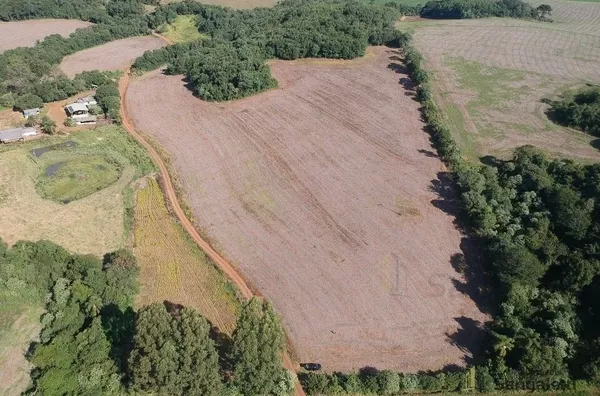 7,3 ALQUEIRES PLANTANDO 4