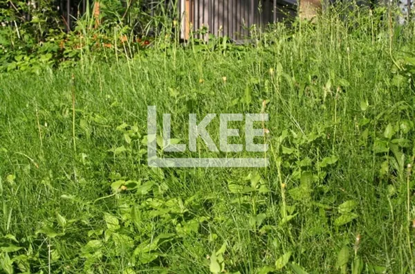 Venda de Terreno 307 m², bairro Higienópolis