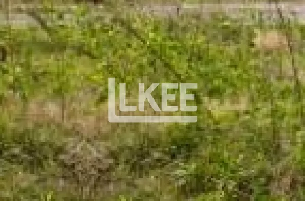 Venda de Terreno 202 m², bairro Higienópolis