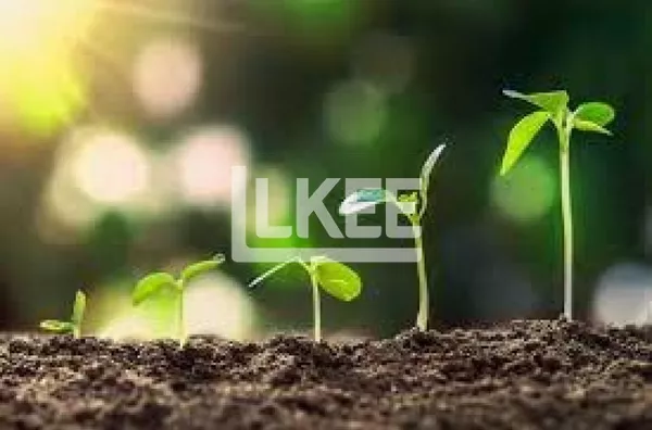 Venda de Terreno 240 m², bairro S. Geraldo