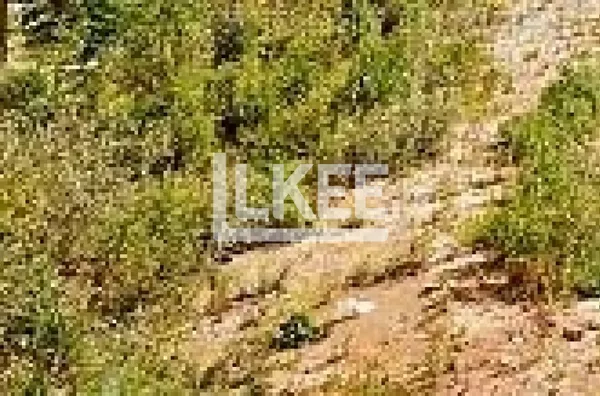 Venda de Terreno 601 m², bairro São João