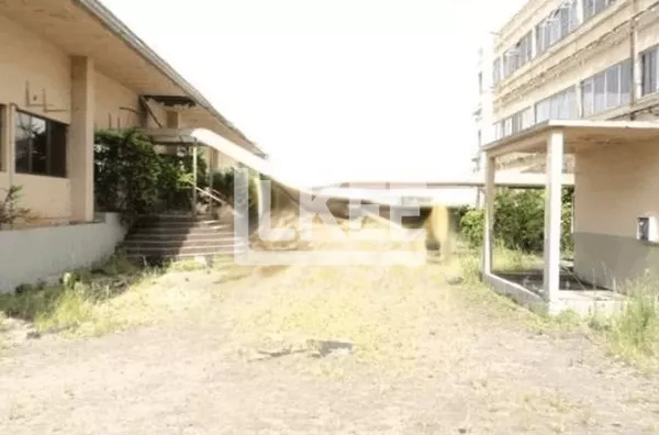 São João | Terreno para alugar | 8000 m² | Em Porto Alegre/RS