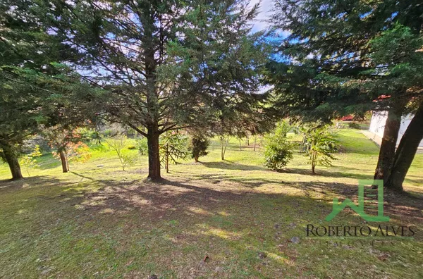 Sítio para venda em São Joaquim - Santa Catarina