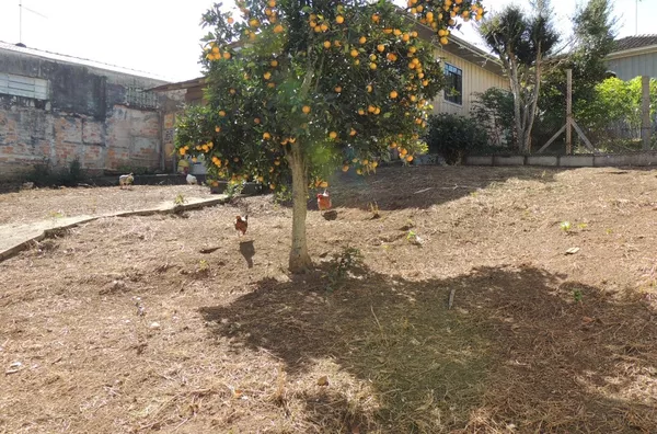 Terreno ZR3 para venda Portão Curitiba - Foto 3