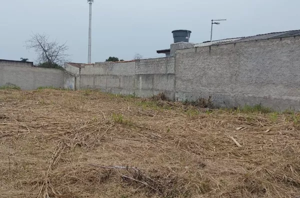 Terreno bairro Alto Curitiba - Foto 6