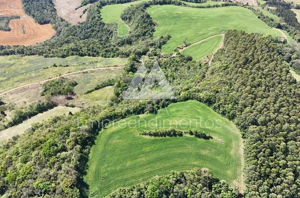 Propriedade Rural para Venda em Novo Horizonte