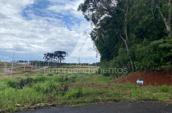 Terrenos para compra no Loteamento Giacomin - Foto 1