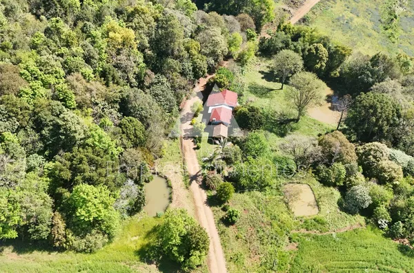 Propriedade Rural para Venda em Novo Horizonte