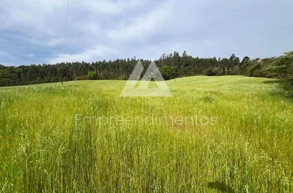 Área de terra para compra, 3 quarto(s),  - Selecione - Bairro, São Lourenço Do Oeste