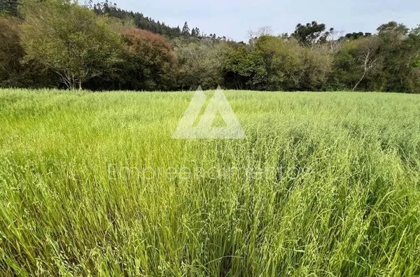 Área de terra para compra, 3 quarto(s),  - Selecione - Bairro, São Lourenço Do Oeste